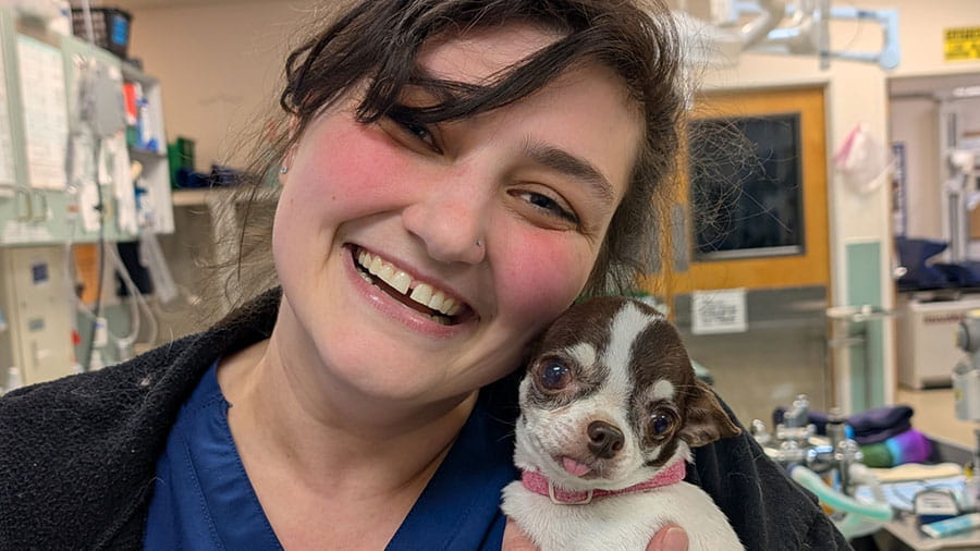 VCA Pacific Avenue Animal Hospital Associate with Small Dog