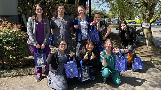 VCA Bellevue Team Photo