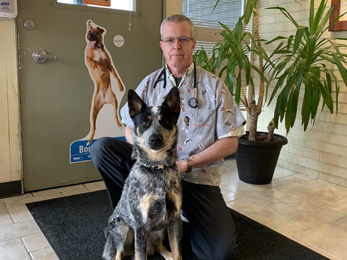 Dr. David Jones Staff Photo