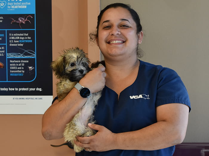 Vanessa Morales Staff Photo 