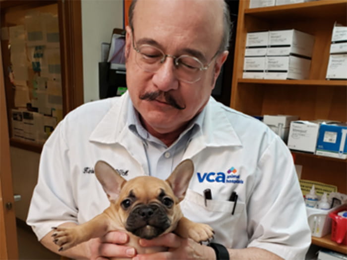 Dr. Kimber Brawley Staff Photo