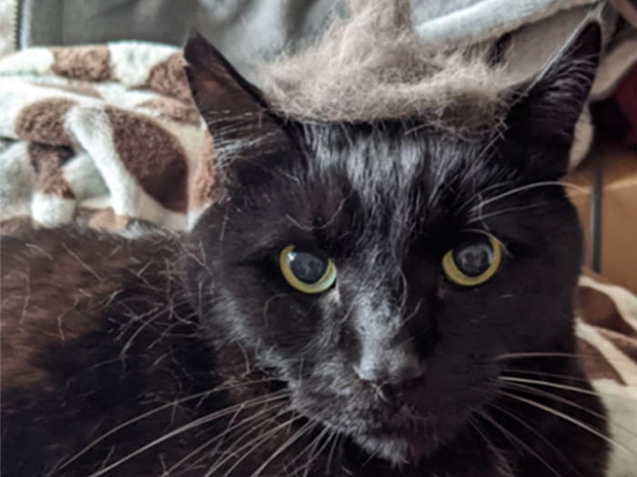 Savannah Staff Photo