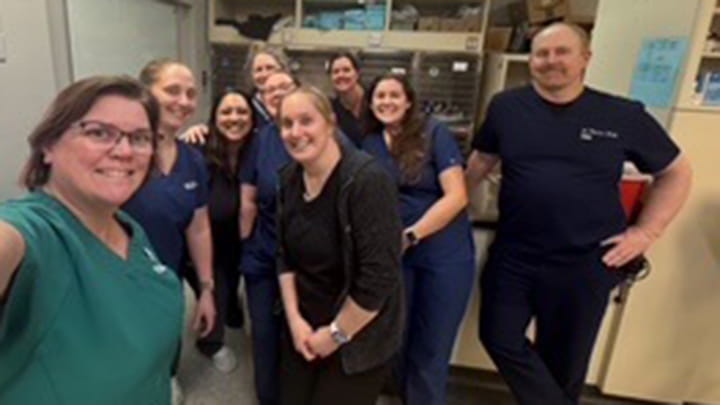 VCA North Division and Higher Ground Animal Sanctuary