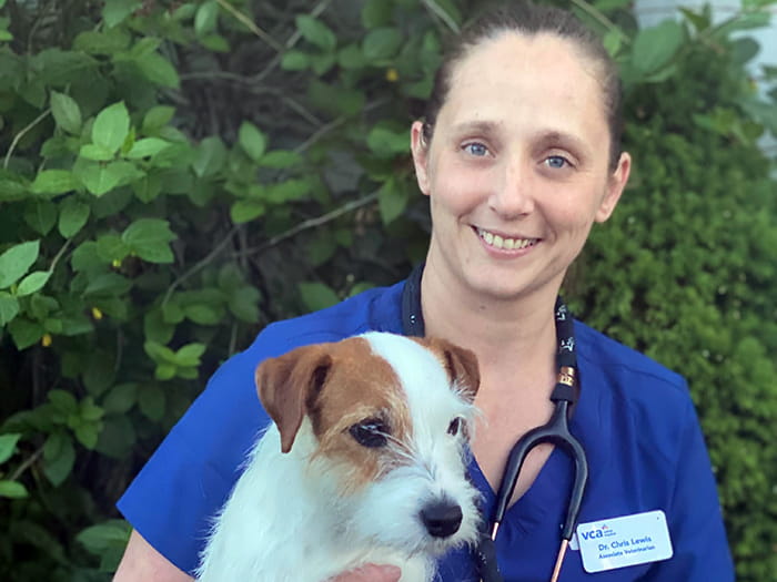 Dr. Chris Lewis Staff Photo