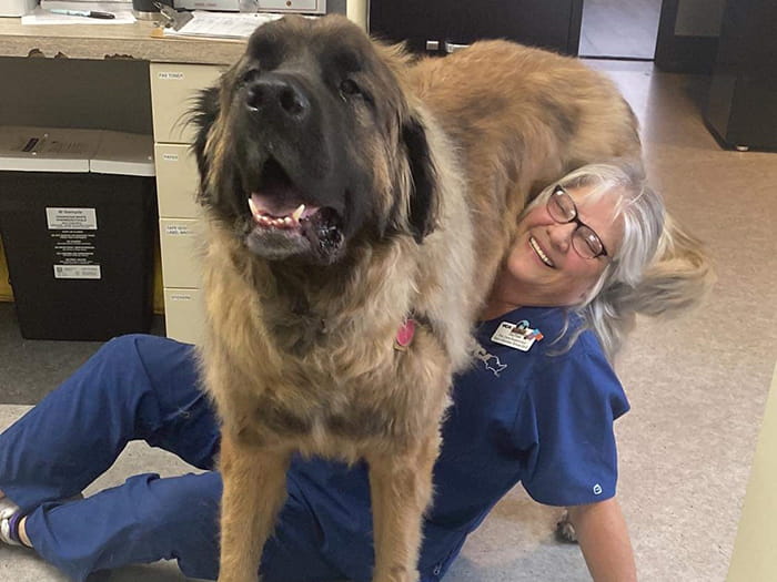 Jay-Dee Veach Staff Photo