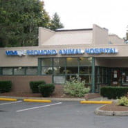 /-/media/2/vca/images/hospitals/united-states/washington/redmond/galleries/185x185_map_redmond.jpg?rev=cea0f9945ad64c33a28cdca9d7925392