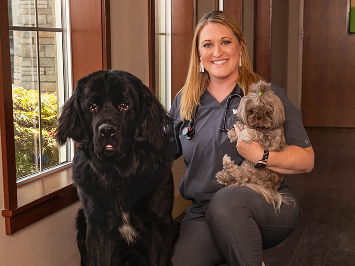 Dr. Brynne Lyle Staff Photo