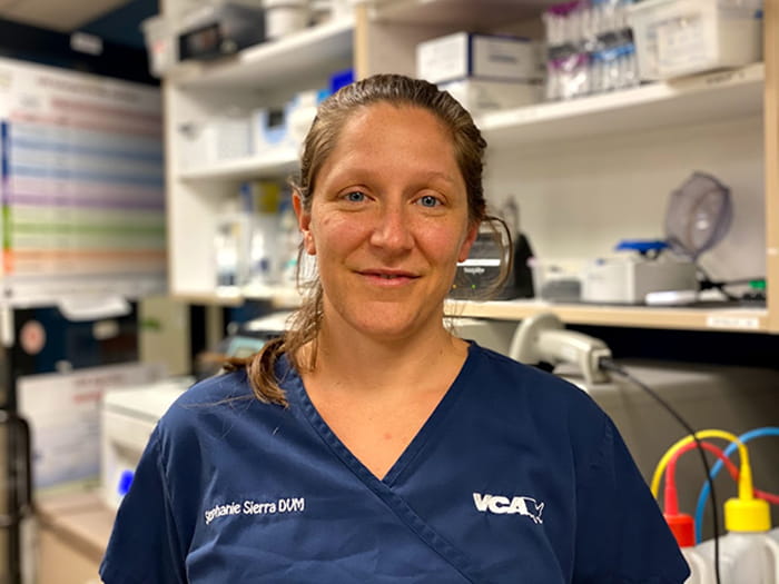 Stephanie Sierra Staff Photo