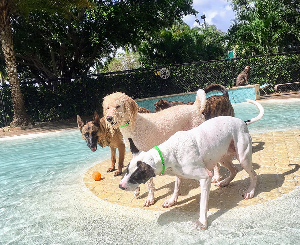 Barkers Hotel Homepage 50-50-3