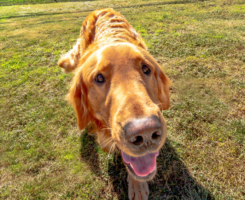 980x800 becker tx resort DayCamp