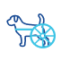 dog wheelchair icon