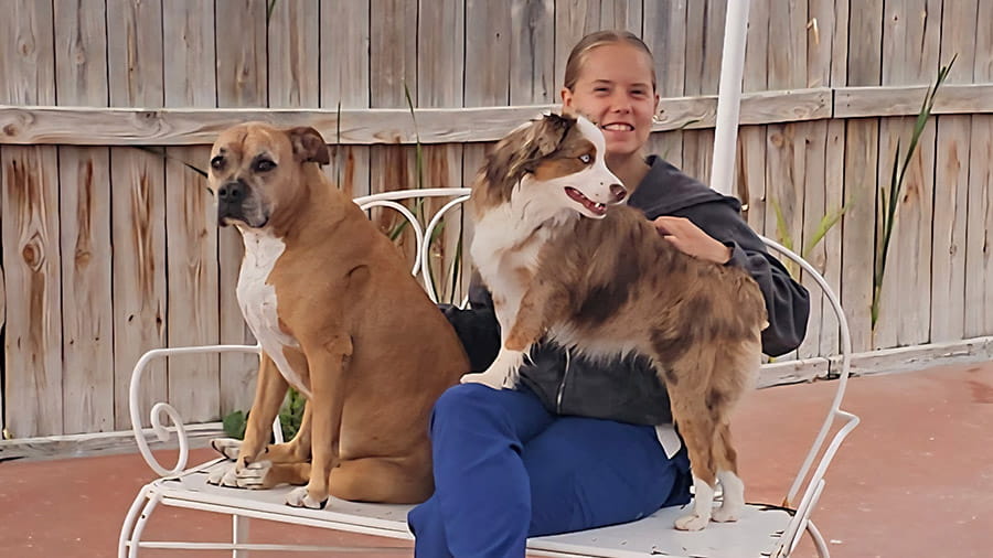 Dogs Sitting with Associate at VCA Mountainview Pet Lodge