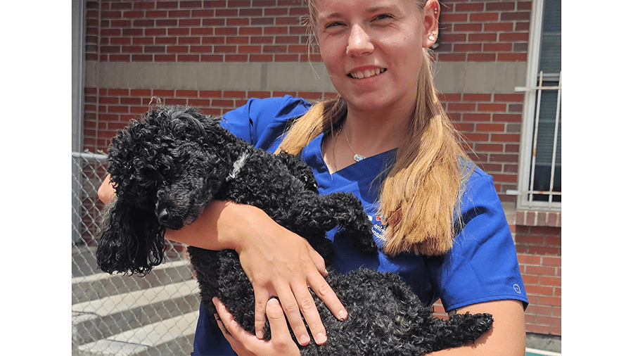 Associate Holding Small Black Dog at VCA Mountainview Pet Lodge