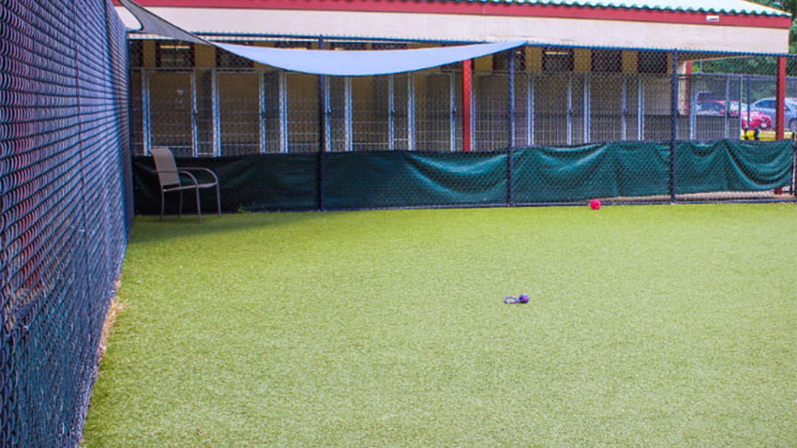 Outdoor play yard at VCA Plymouth Pet Resort
