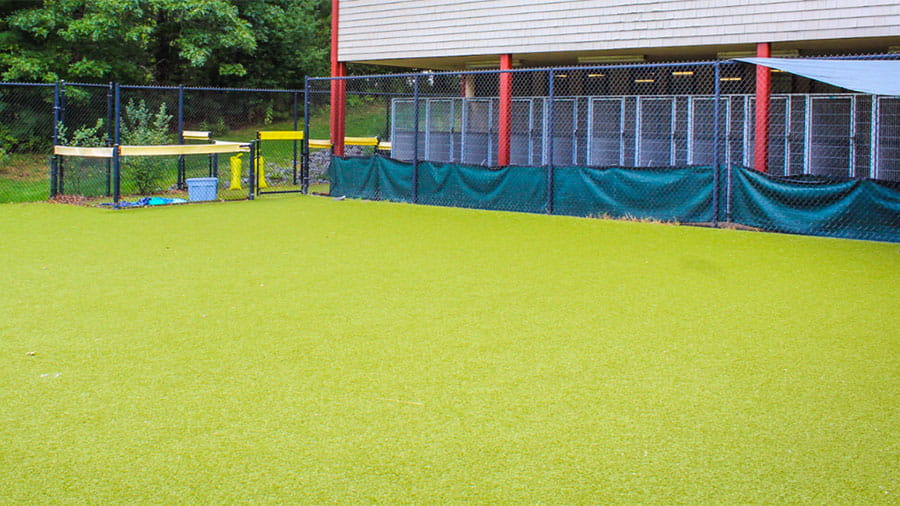 VCA Plymouth Pet Resort Outdoor Dog Yard