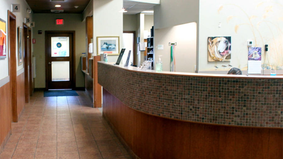 VCA Plymouth Pet Resort reception desk