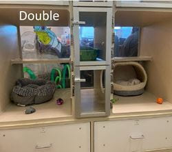 Cat Condos - Double