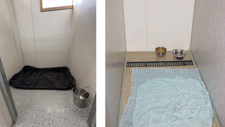 VCA Timpanogos Animal Hospital Resort Large Kennels