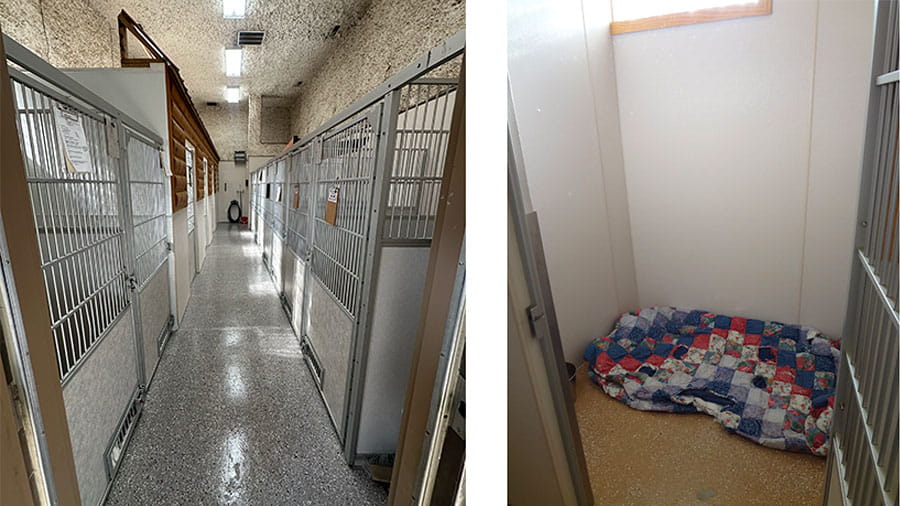 VCA Timpanogos Animal Hospital Resort Large Kennels