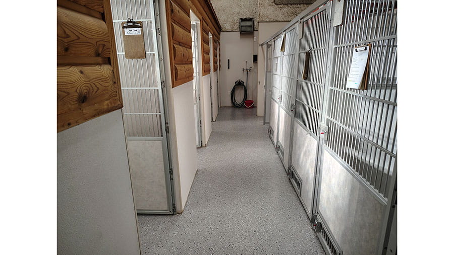 VCA Timpanogos Animal Hospital Resort Dog Kennels