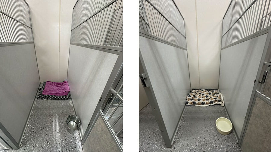 VCA Timpanogos Animal Hospital Resort Large Kennels