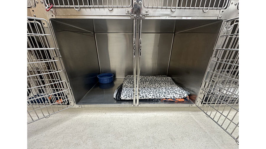 VCA Timpanogos Animal Hospital Resort Medium Kennel