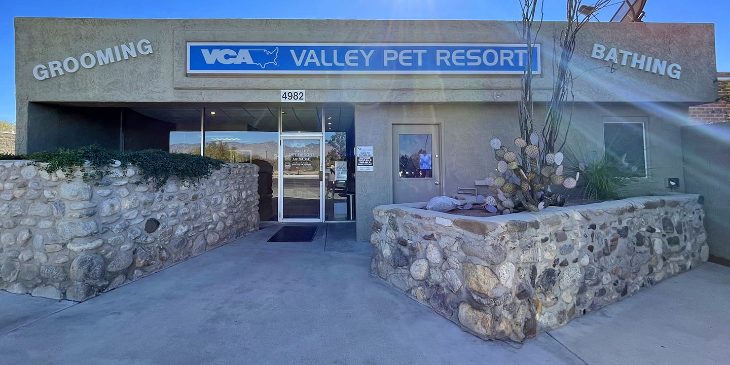 /-/media/2/vca/images/kennel-sites/valley-pet-resort/1440x720_valley-pet-resort_ourkennel.jpg?rev=2b9c97ec53be4f008498496cf163194f