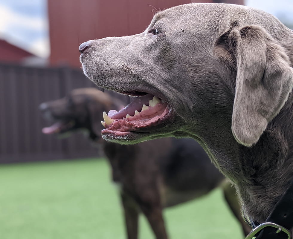 Family Day Care 50-50 