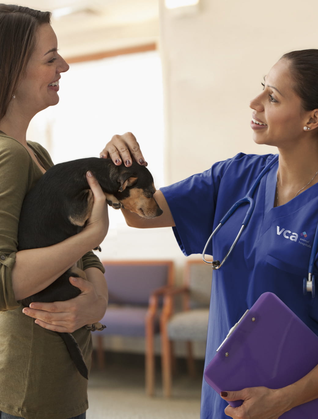 vet petting dog