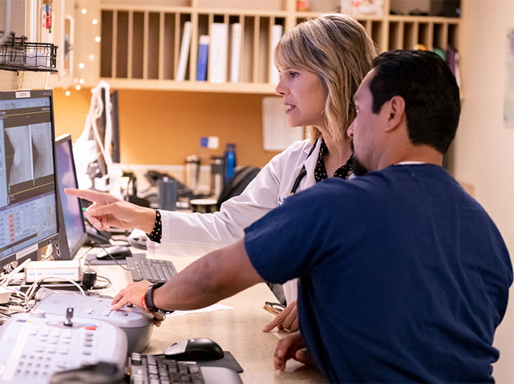 Pet Cancer Care Banner Image