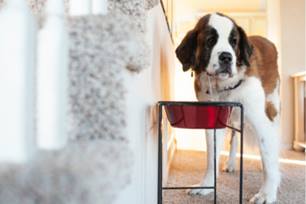 osteoarthritis treatments