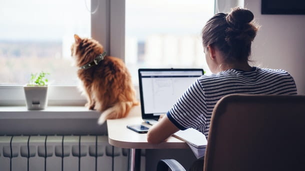 AdobeStock 201198183 R 610x343