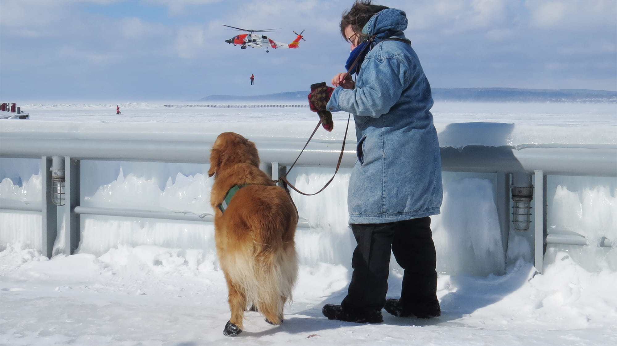 Golden Retriever and Handler