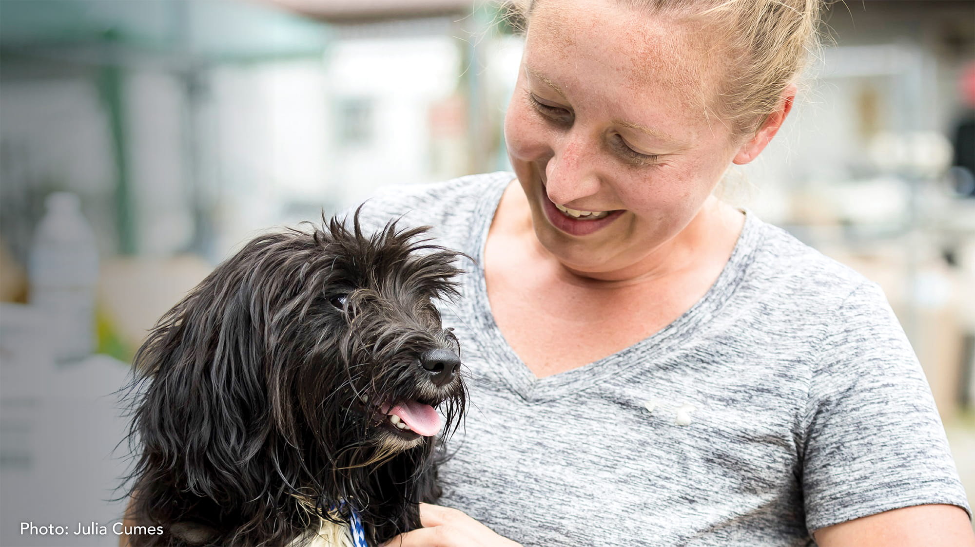 VCA Associate with Dog