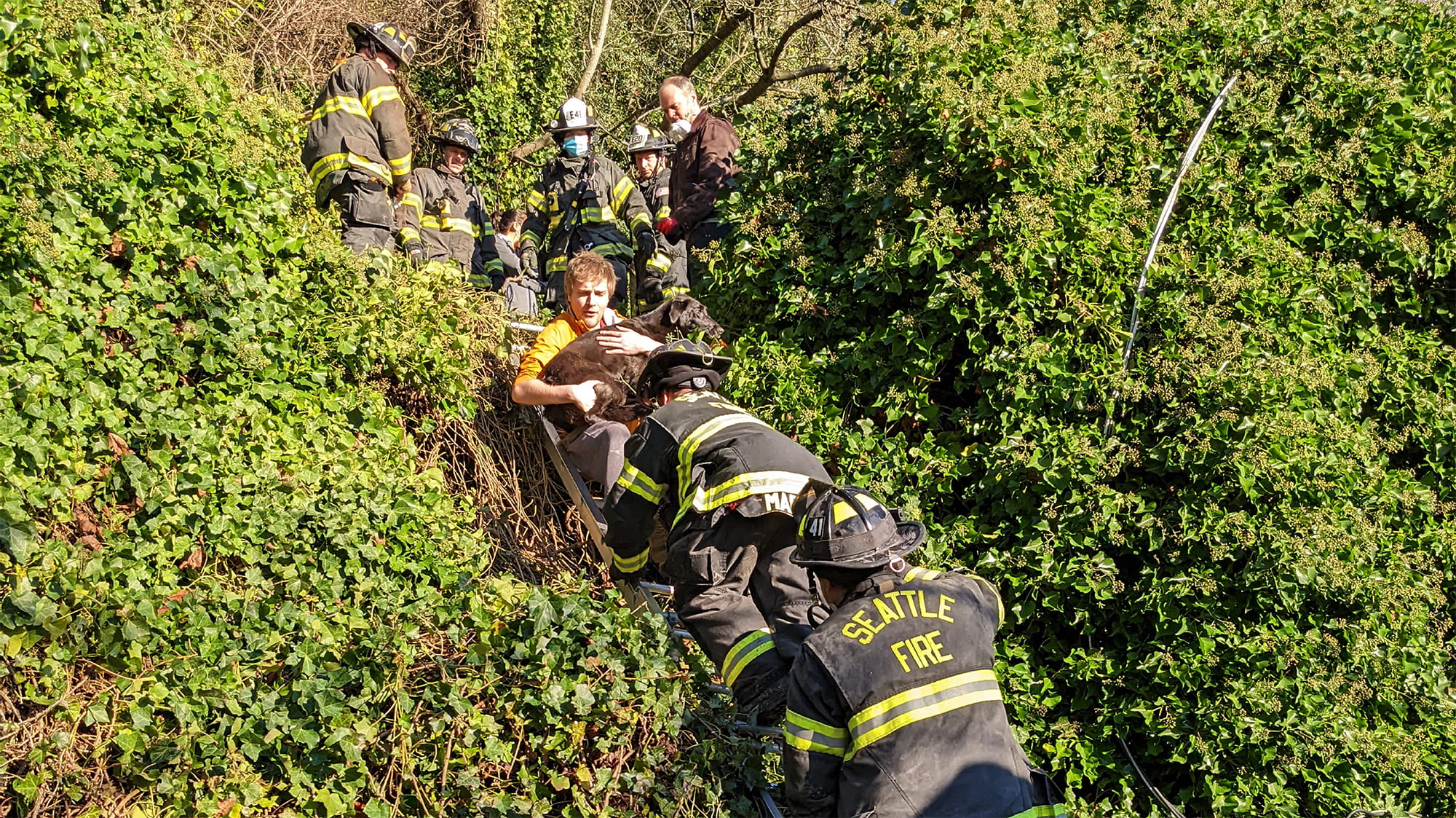 Firefighters rescuing Sammy