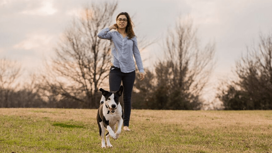 876x493 adobe ca FleaTick