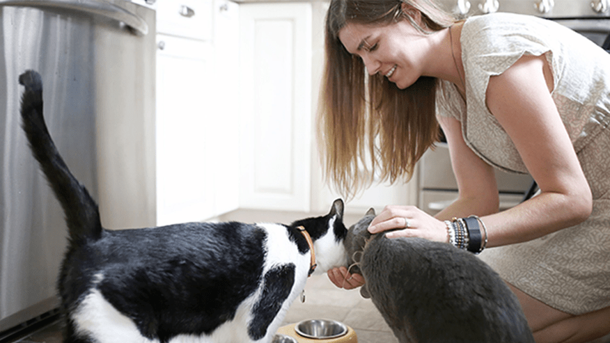 876x493 adobe ca WeightManagement