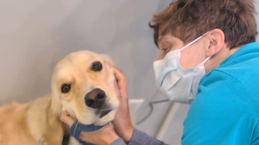 Staff member with Yellow Dog