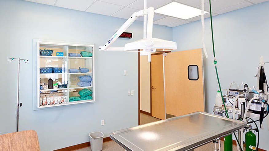 VCA Allendale Animal Hospital Surgery