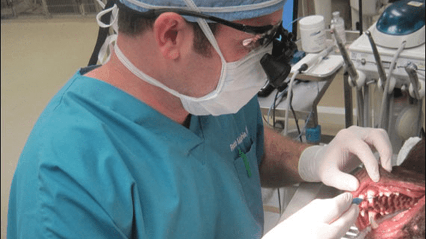 876x493 andersons corner Dentistry