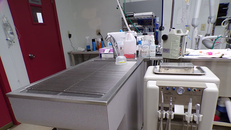 Dental Equipment at VCA Auburn