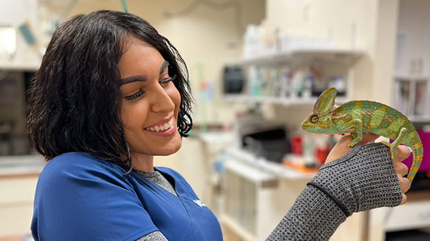 VCA Aventura associate holding a reptile