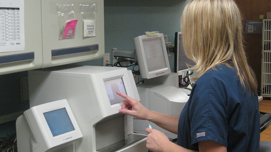 Avondale Full Diagnostics