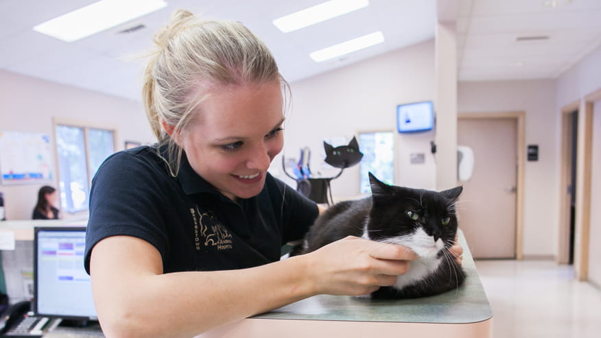 woman with cat on counter