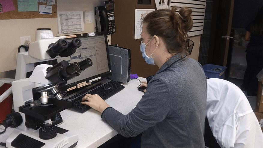 876x493 ben white WellnessTestingService