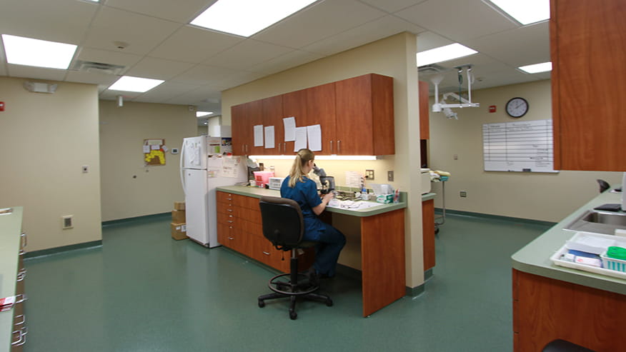 876x493 calvert InHouseLab