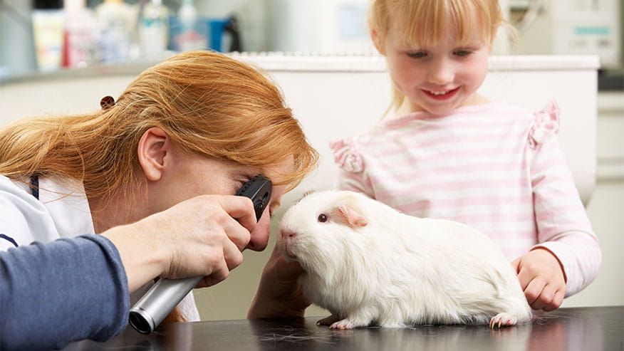 876x493 SpecialtyServices ExoticAnimalMedicine