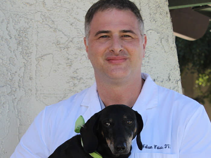Staff Image