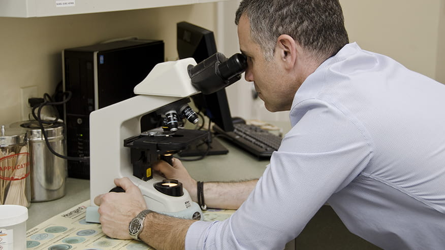 876x493 colonial Services Lab