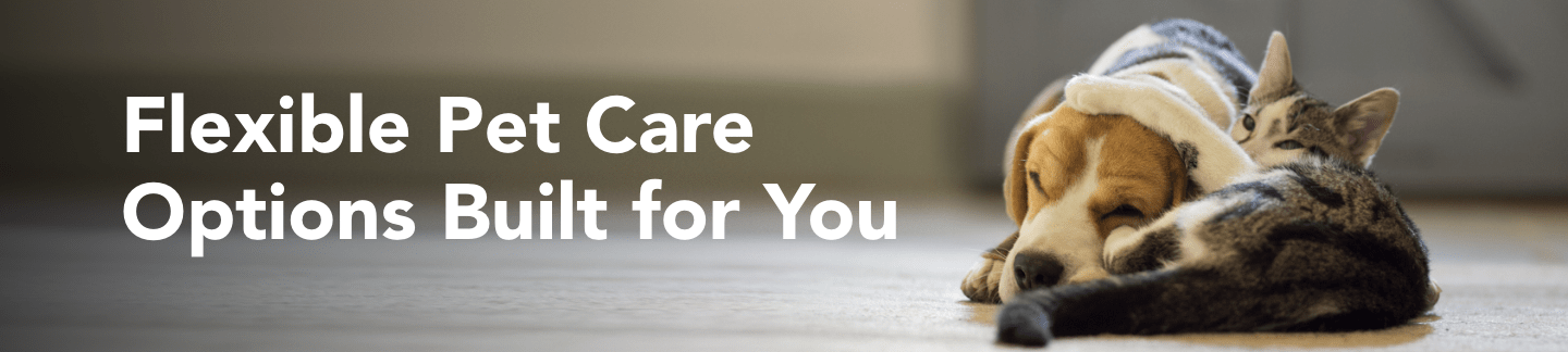 financial resources banner